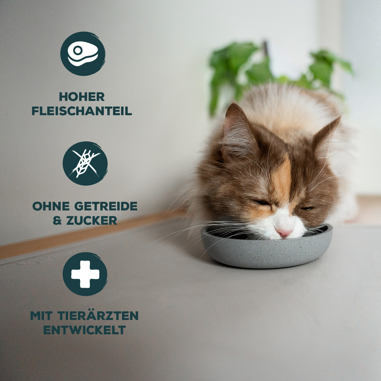 Primox - Katzennassfutter Geflügel 85g Pouch - 12 x 85 g - 2